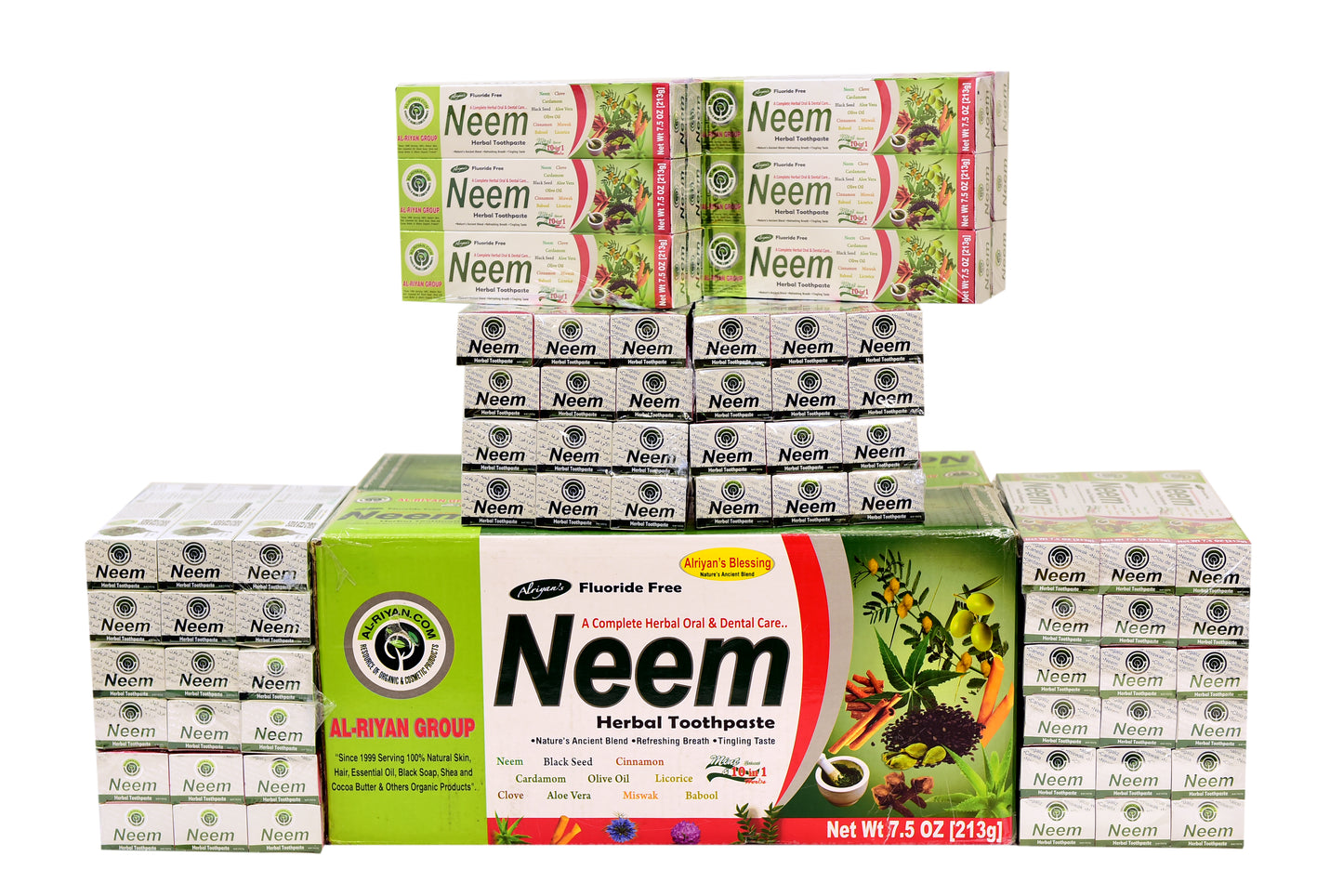 NEEM TOOTHPASTE (72 pcs)