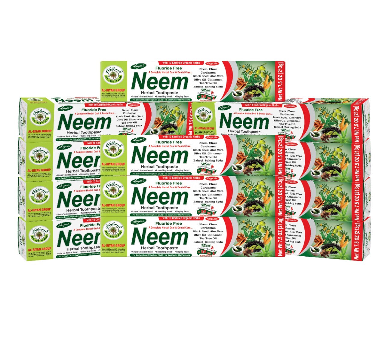 NEEM TOOTHPASTE (12 pcs)