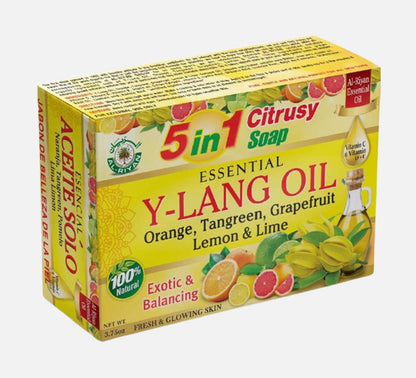 ESSENTIAL CITRUSY SOAP 5IN 1